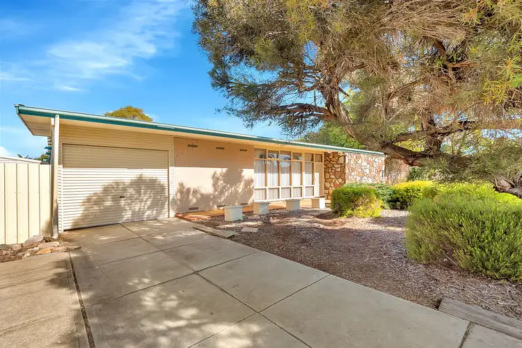 Main view of Homely house listing, 13 Rosemary Drive, Modbury North SA 5092