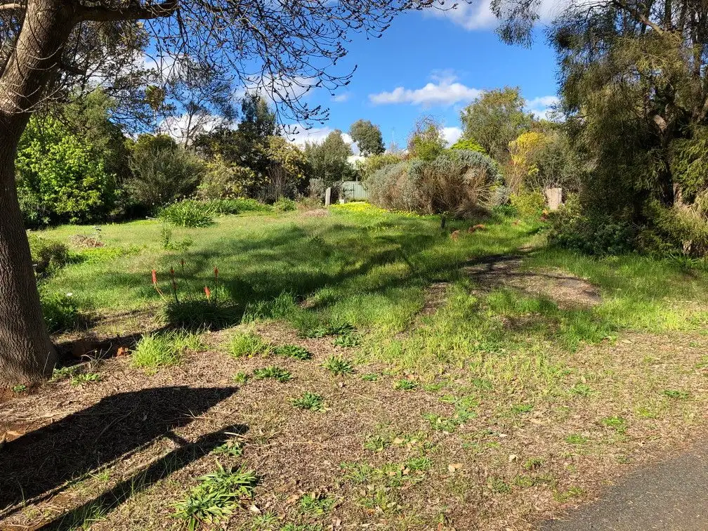 Main view of Homely other listing, 78 Blechynden Street, Bridgetown WA 6255