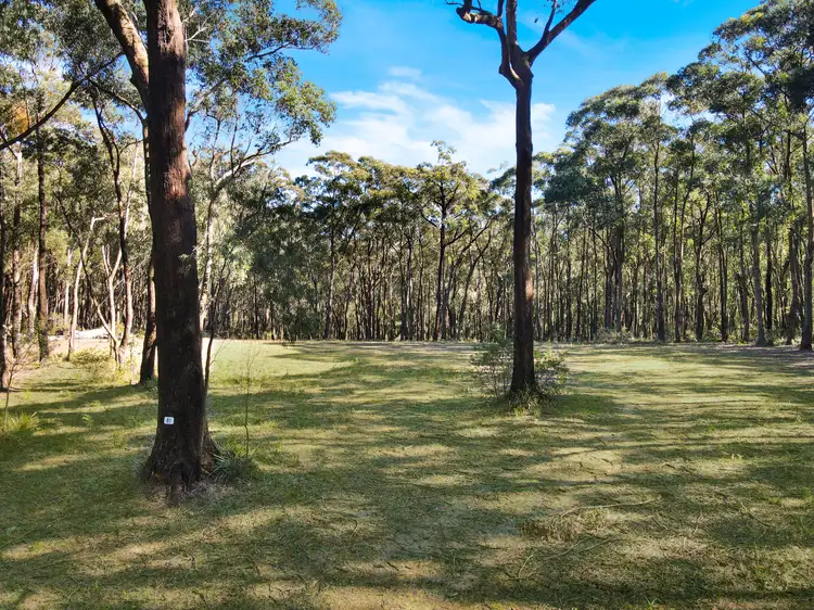 Second view of Homely rural property listing, 81 Shierlaw Road, Robertson NSW 2577