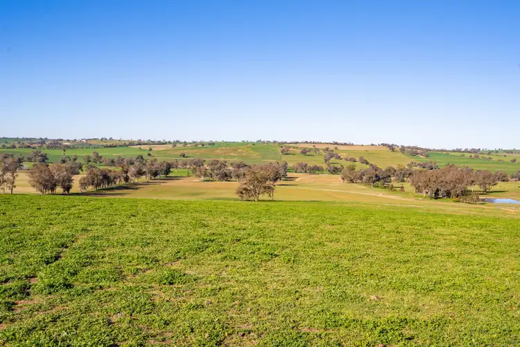 Second view of Homely rural property listing, 'Eastview' Greenethorpe Road, Greenethorpe NSW 2809