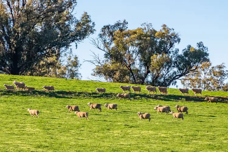Third view of Homely rural property listing, 'Eastview' Greenethorpe Road, Greenethorpe NSW 2809