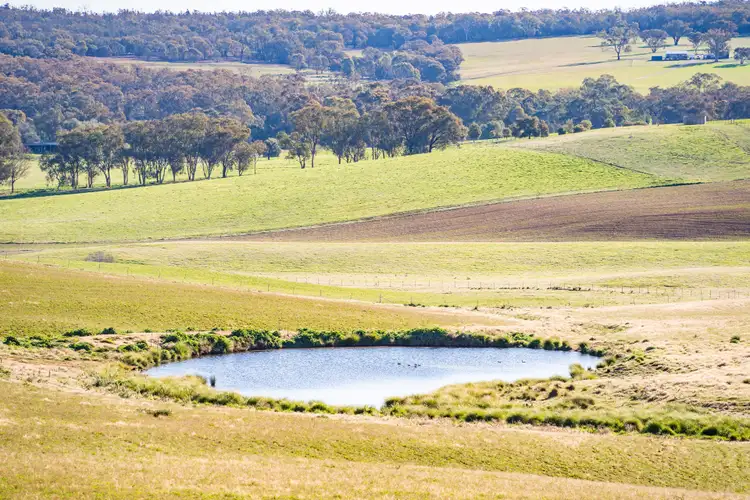 Fifth view of Homely rural property listing, 'Eastview' Greenethorpe Road, Greenethorpe NSW 2809