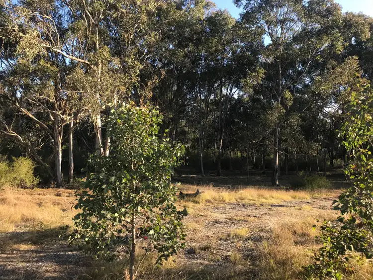 Third view of Homely land listing, 66 Firewheel Circuit, Gregory Hills NSW 2557