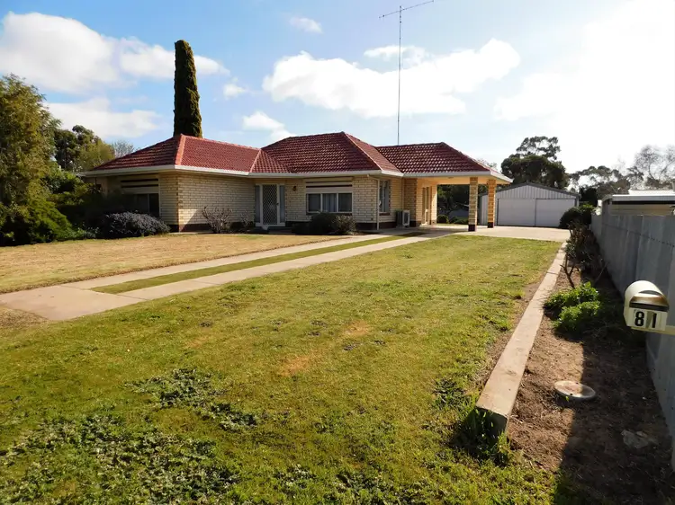 Main view of Homely house listing, 81 Venn Avenue, Bordertown SA 5268