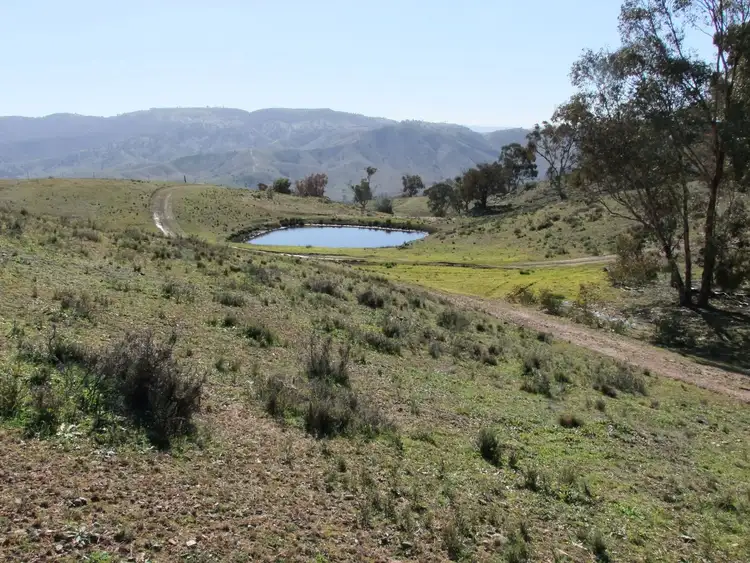 Third view of Homely rural property listing, 476 Box Ridge Road, Turondale NSW 2795
