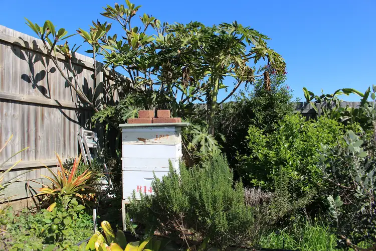 Sixth view of Homely house listing, 18 Sea Eagle Drive, Lowood QLD 4311