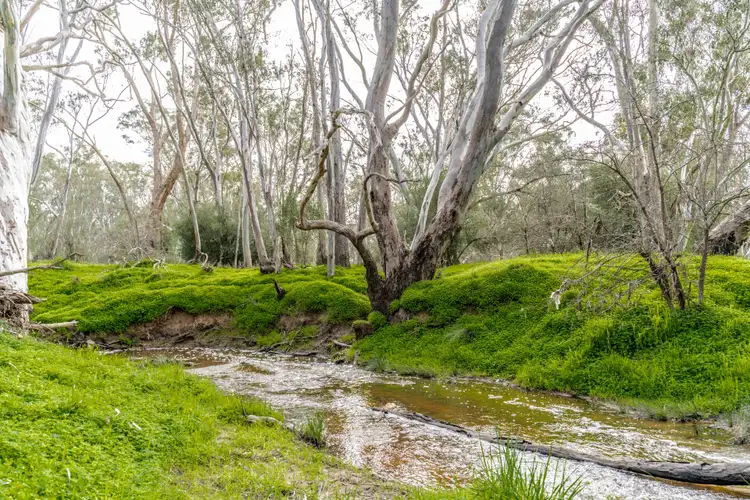 Sixth view of Homely house listing, 85 Goldie Street, Marong VIC 3515