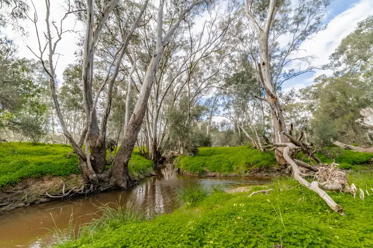 Seventh view of Homely house listing, 85 Goldie Street, Marong VIC 3515