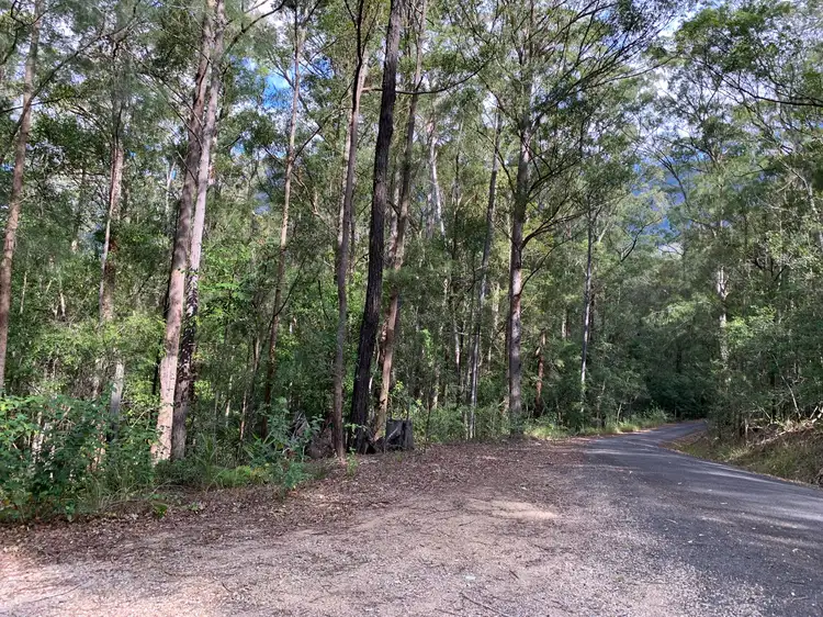 Main view of Homely rural property listing, Lot 13, 215 Everinghams Road, Pumpenbil NSW 2484