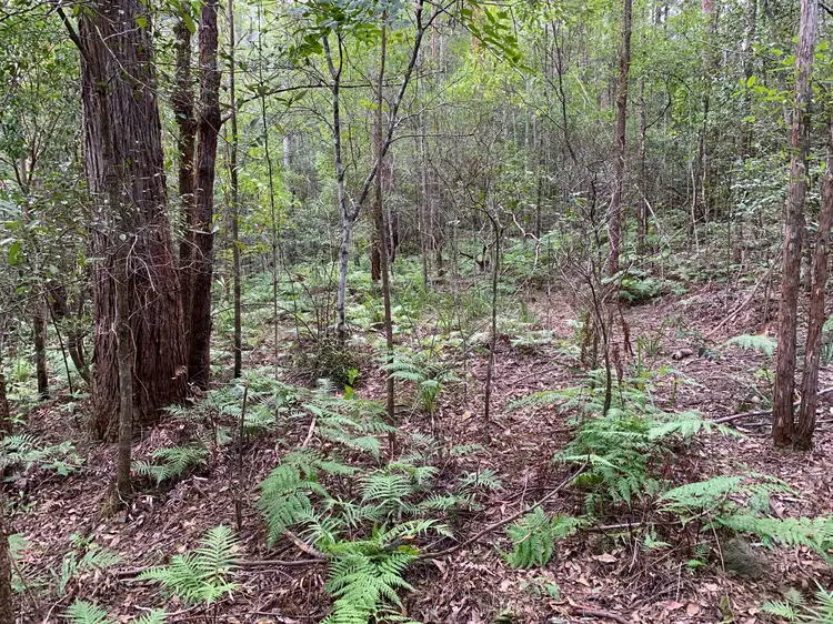 Third view of Homely rural property listing, Lot 13, 215 Everinghams Road, Pumpenbil NSW 2484