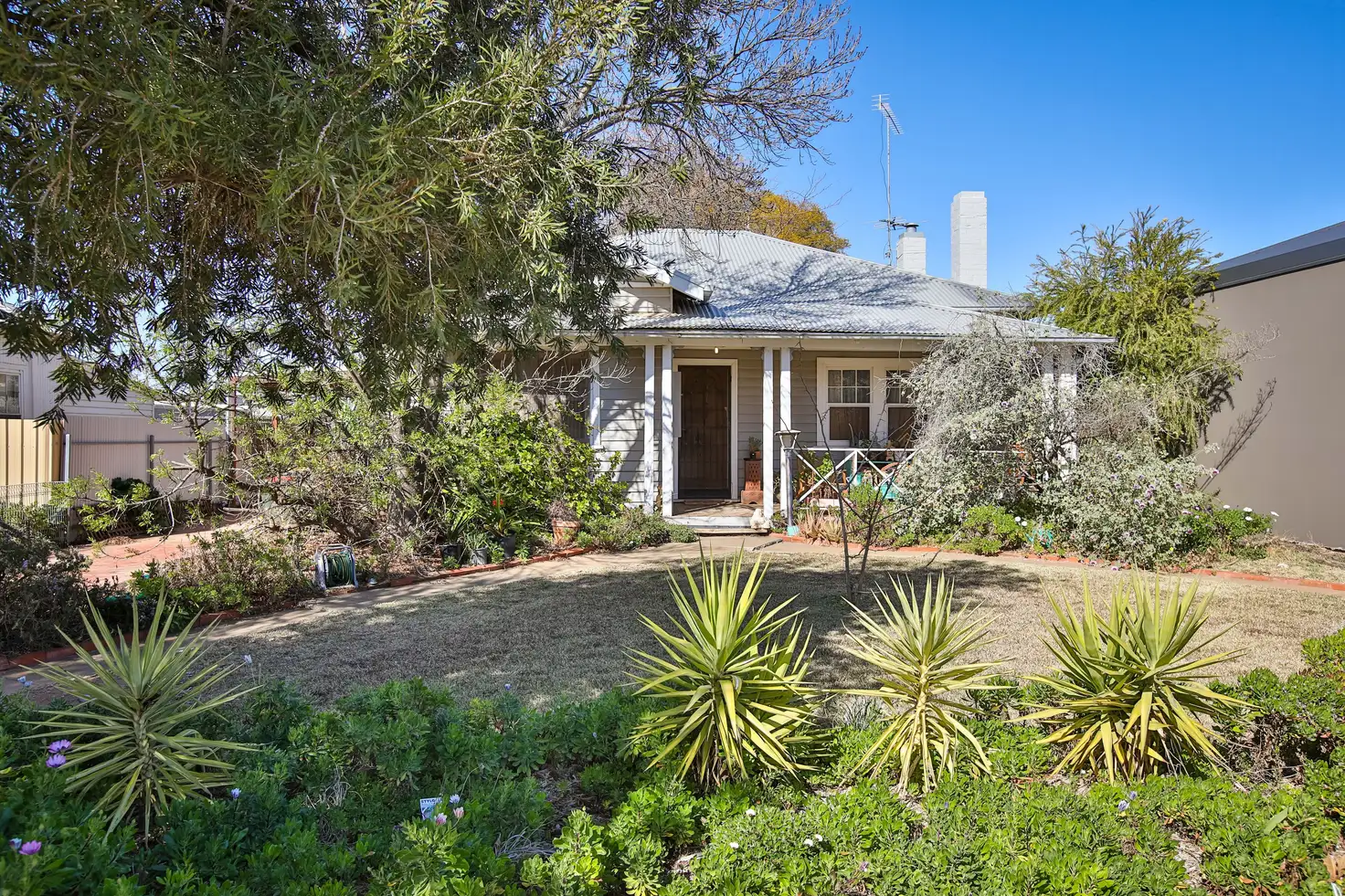 Main view of Homely house listing, 24 Walnut Avenue, Mildura VIC 3500