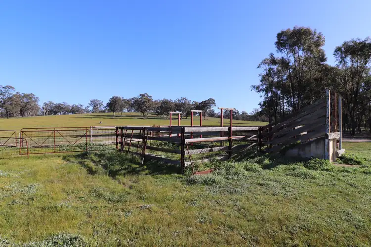 Second view of Homely rural property listing, 195 Camp Road, Murchison VIC 3610
