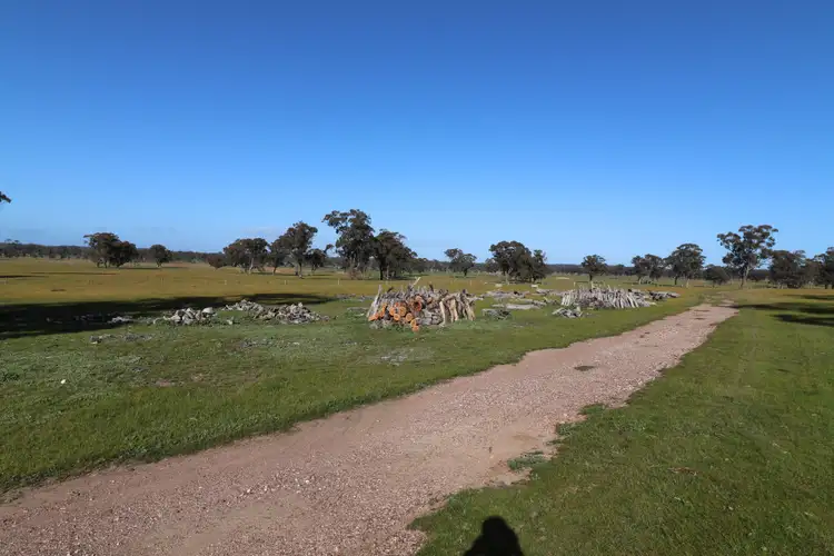 Sixth view of Homely rural property listing, 195 Camp Road, Murchison VIC 3610