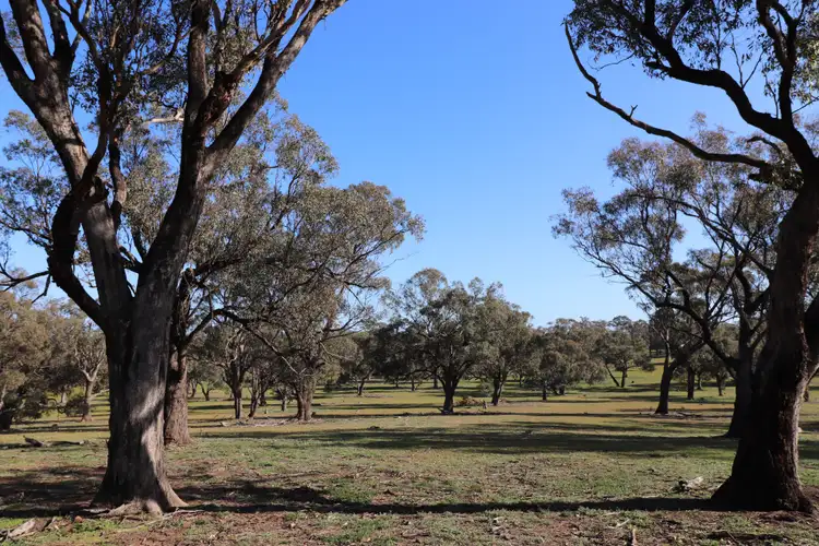 Seventh view of Homely rural property listing, 195 Camp Road, Murchison VIC 3610