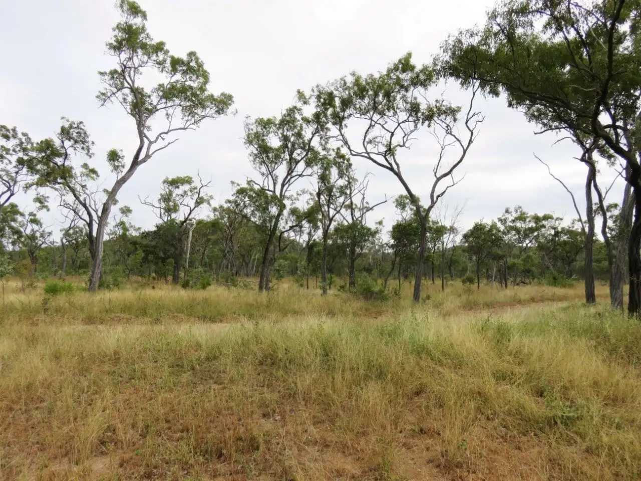 Main view of Homely rural property listing, Address available on request