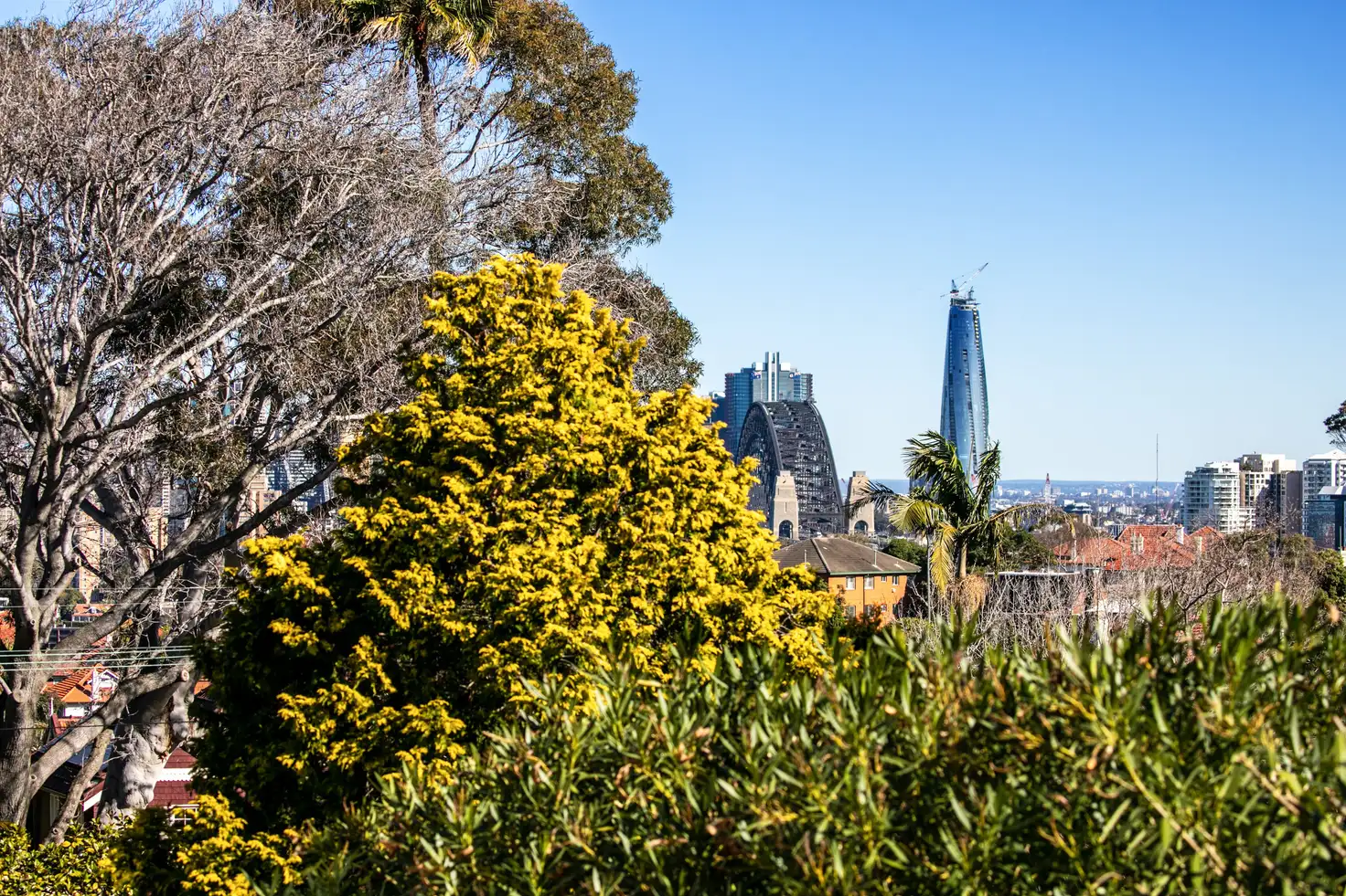 Main view of Homely apartment listing, 7/26 Bennett Street, Cremorne NSW 2090