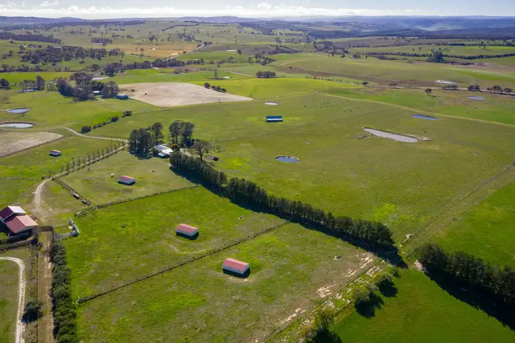 Second view of Homely rural property listing, 1275 Triangle Flat Road, Rockley NSW 2795