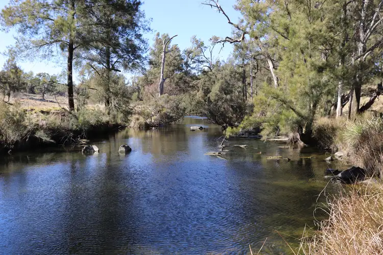 Main view of Homely rural property listing, 2/2563 Emmaville Road, Reddestone NSW 2370