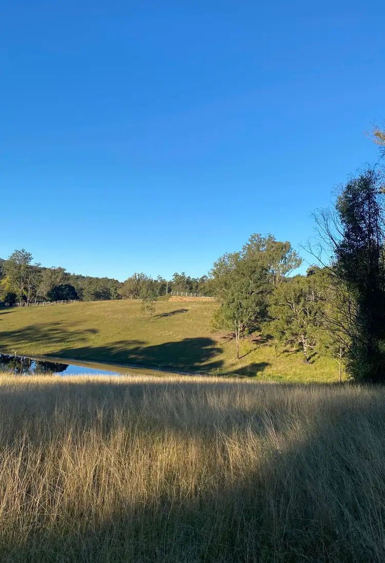 Main view of Homely rural property listing, 237 Toms Gully Road, Hickeys Creek NSW 2440