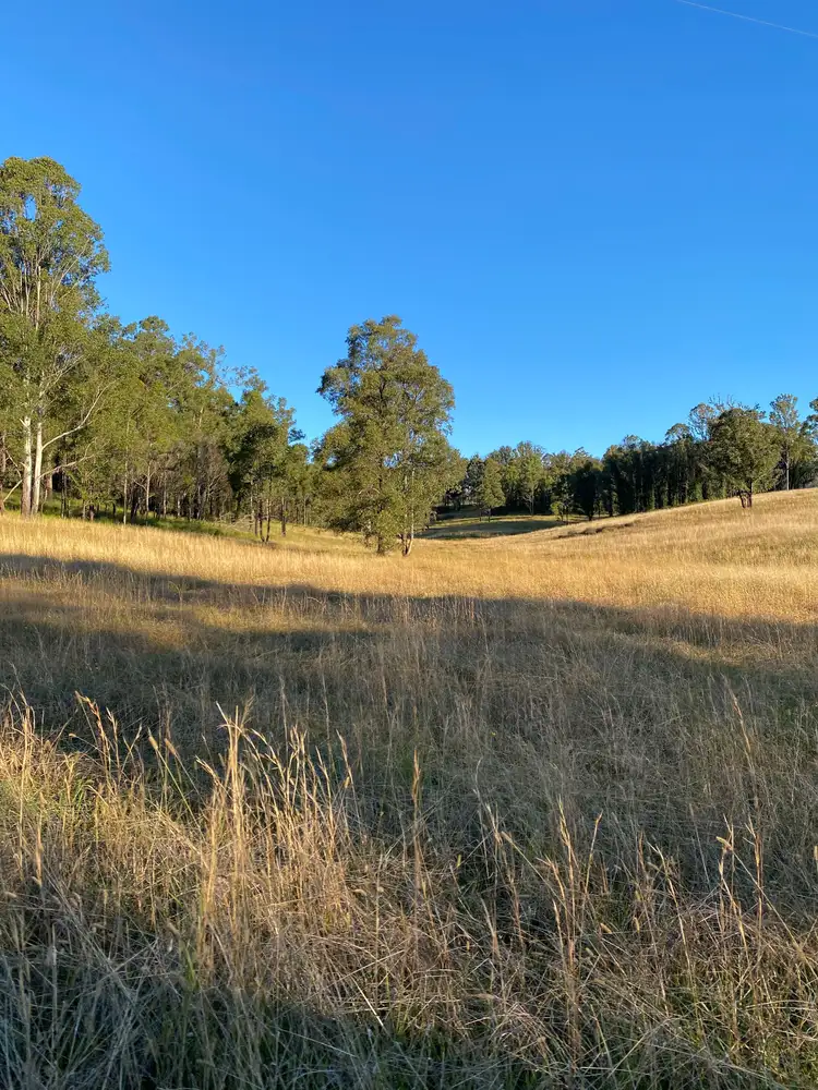 Third view of Homely rural property listing, 237 Toms Gully Road, Hickeys Creek NSW 2440