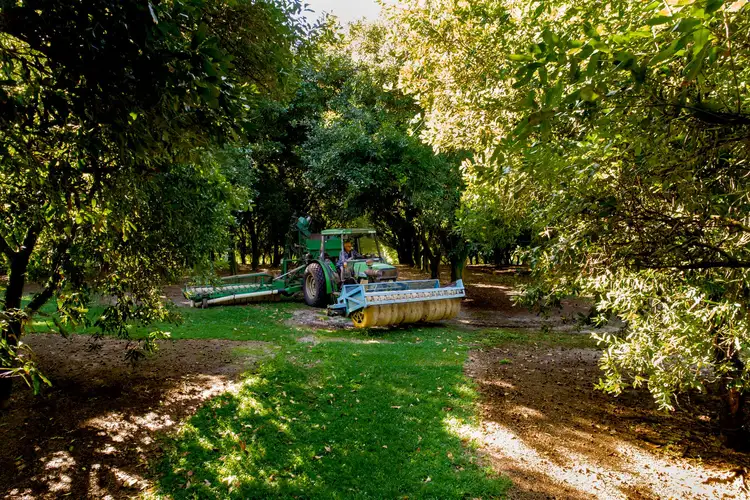 Sixth view of Homely rural property listing, 309 Sahara Road, Glass House Mountains QLD 4518