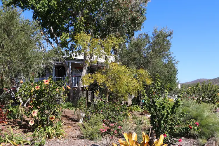 Fifth view of Homely rural property listing, 49792 Burnett Highway, Walmul QLD 4714