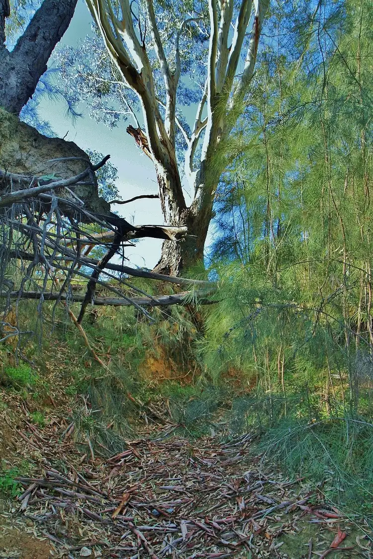 Fifth view of Homely land listing, CA B15D, B15D1 Spring Flat Road, Heathcote VIC 3523