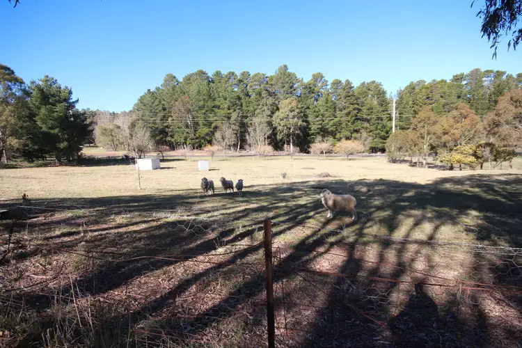 Fourth view of Homely house listing, 8 Campbells River Road, Black Springs NSW 2787