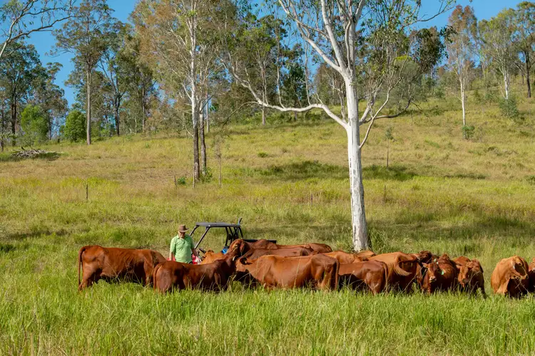 Fifth view of Homely land listing, Gate 60 Dayboro Road, Rush Creek QLD 4521