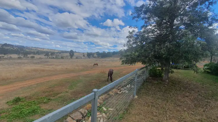 Third view of Homely rural property listing, 1316 Pechey Maclagan Road, Douglas QLD 4354