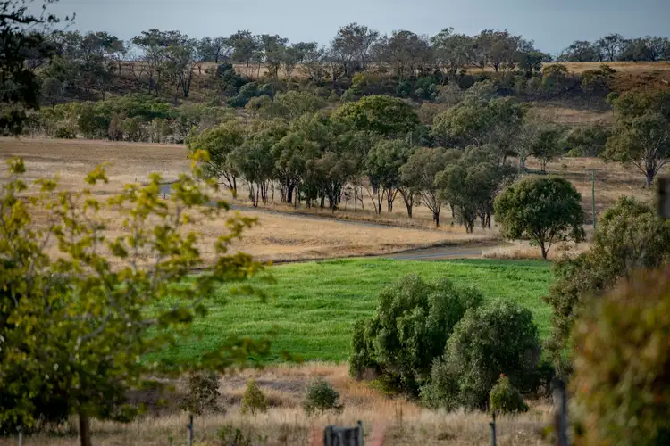 Fifth view of Homely rural property listing, 836 Pittsworth Felton Road, Pittsworth QLD 4356