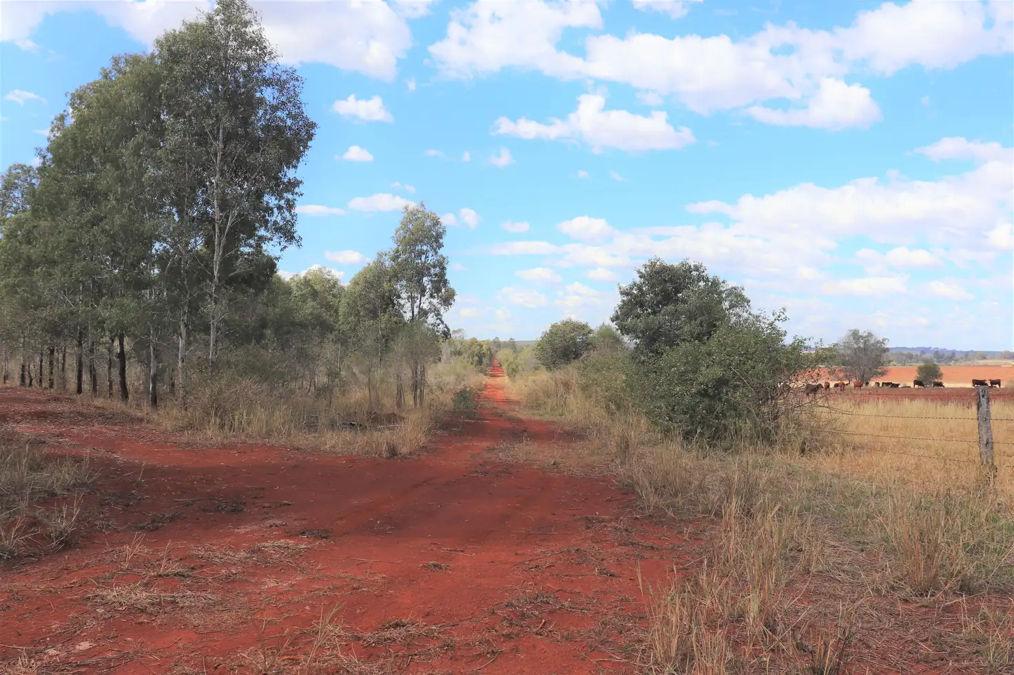 Main view of Homely rural property listing, Lot 16,17&amp;49 Speedwell Road, Proston QLD 4613