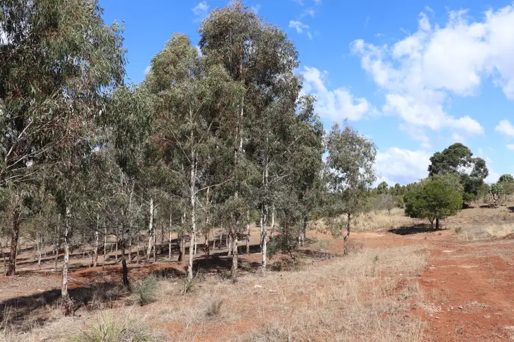 Seventh view of Homely rural property listing, Lot 16,17&amp;49 Speedwell Road, Proston QLD 4613