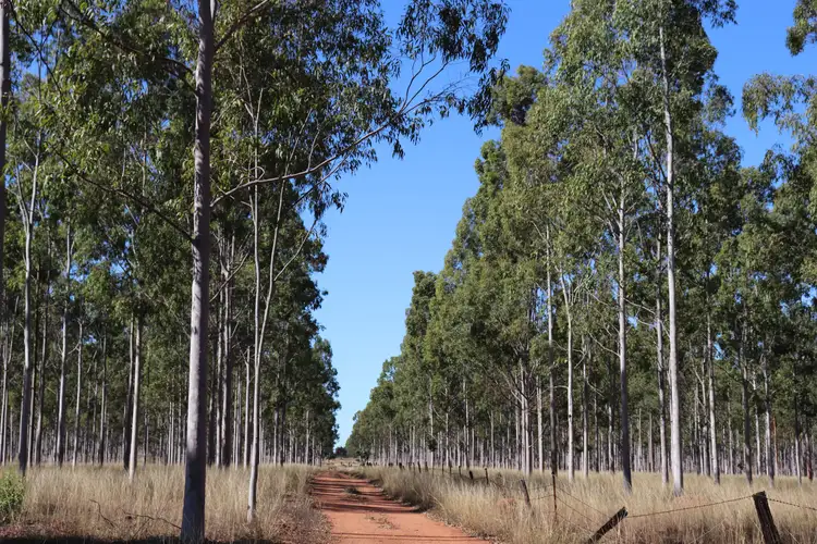 Main view of Homely rural property listing, Lot 26 Mundubbera-Durong Road, Boondooma QLD 4613