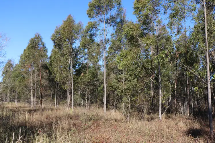 Third view of Homely rural property listing, 2 Offerings Cobbs Hill Road, Murgon QLD 4605