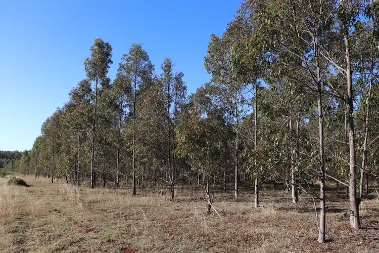 Fourth view of Homely rural property listing, 2 Offerings Cobbs Hill Road, Murgon QLD 4605