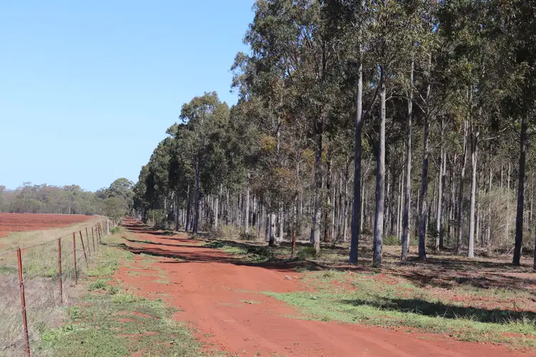 Main view of Homely rural property listing, 3 Offerings Top Gurgeena Road, Gurgeena QLD 4626