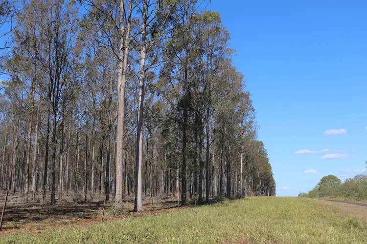 Second view of Homely rural property listing, 3 Offerings Top Gurgeena Road, Gurgeena QLD 4626