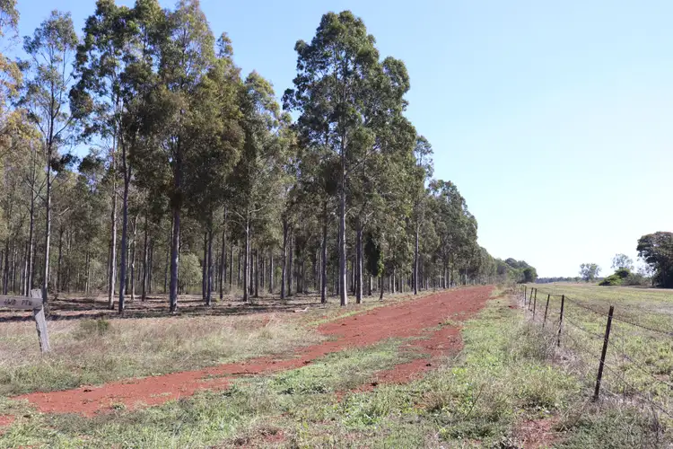 Fifth view of Homely rural property listing, 3 Offerings Top Gurgeena Road, Gurgeena QLD 4626