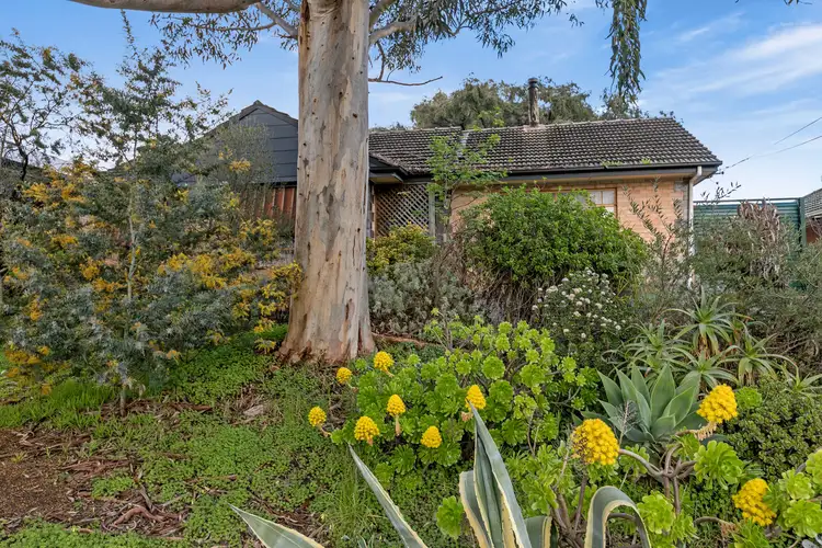27 Whinnen Street, St Agnes SA 5097