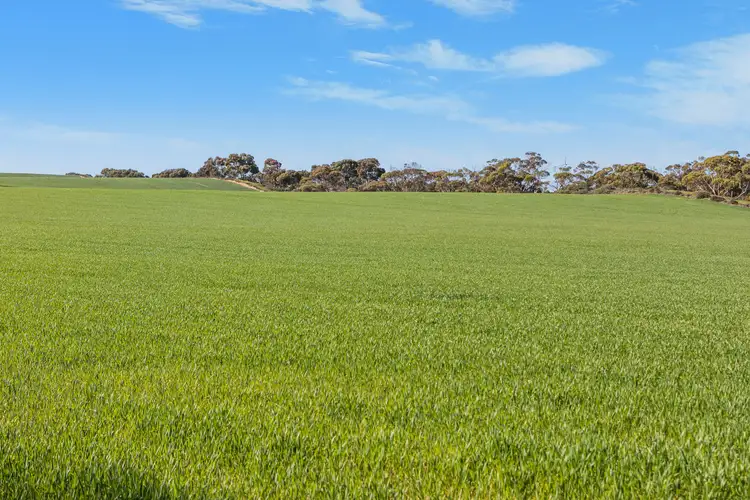 'Pine Row' 1422 Wards Hill Road via, Port Broughton SA 5522