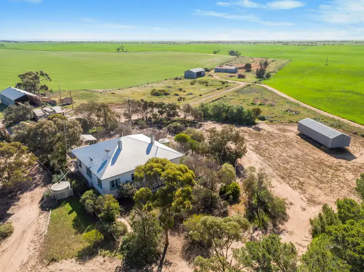 Second view of Homely rural property listing, 'Pine Row' 1422 Wards Hill Road via, Port Broughton SA 5522
