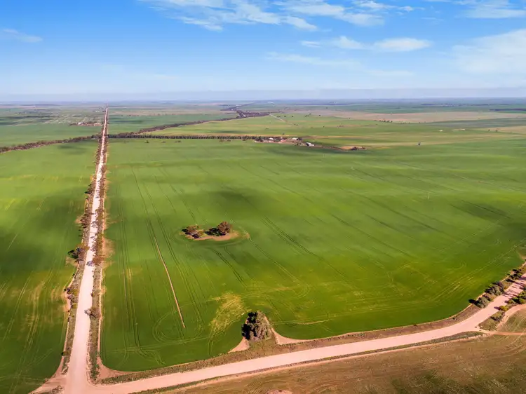 Third view of Homely rural property listing, 'Pine Row' 1422 Wards Hill Road via, Port Broughton SA 5522