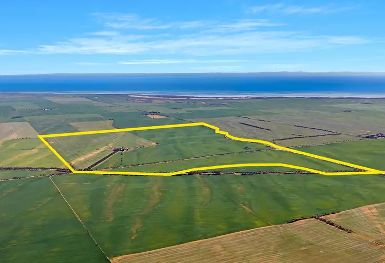 Fifth view of Homely rural property listing, 'Pine Row' 1422 Wards Hill Road via, Port Broughton SA 5522