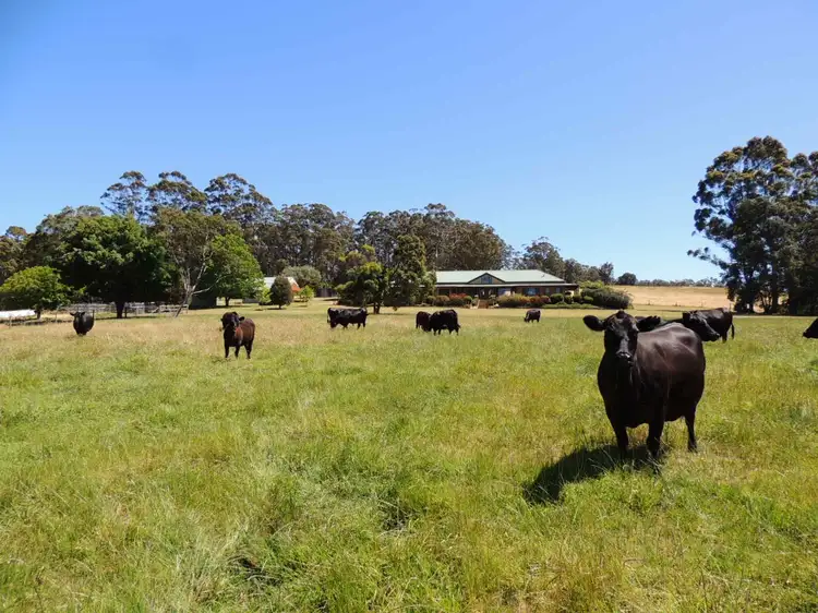 Lot 1551 McIntyre Road, Denmark WA 6333