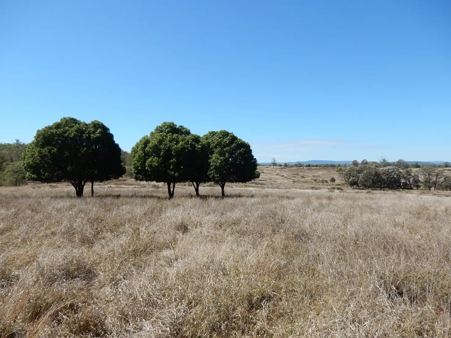 Main view of Homely rural property listing, Address available on request