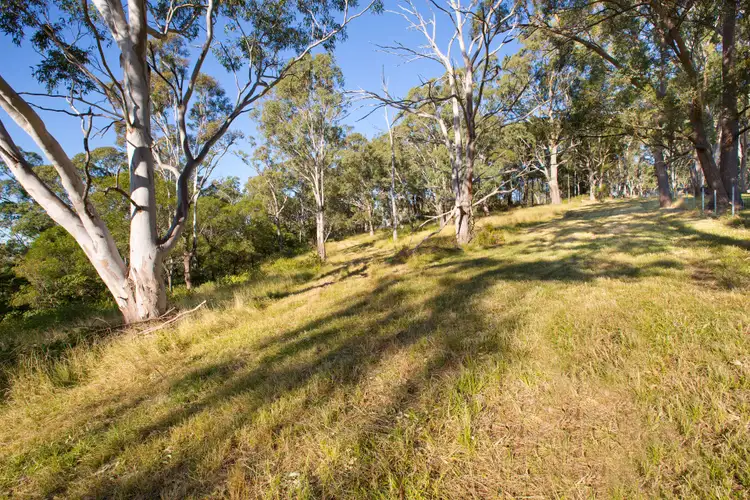 Sixth view of Homely rural property listing, 151-153 South Avondale Road, Avondale NSW 2530