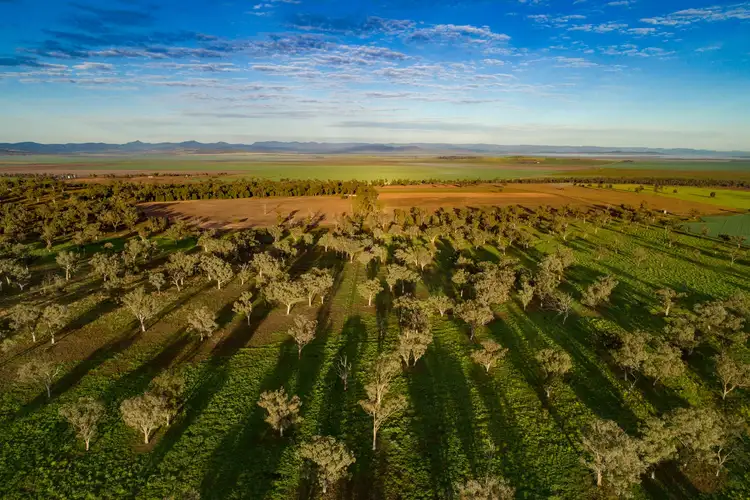 Seventh view of Homely rural property listing, 836 Warrah Ridge Road, Willow Tree NSW 2339