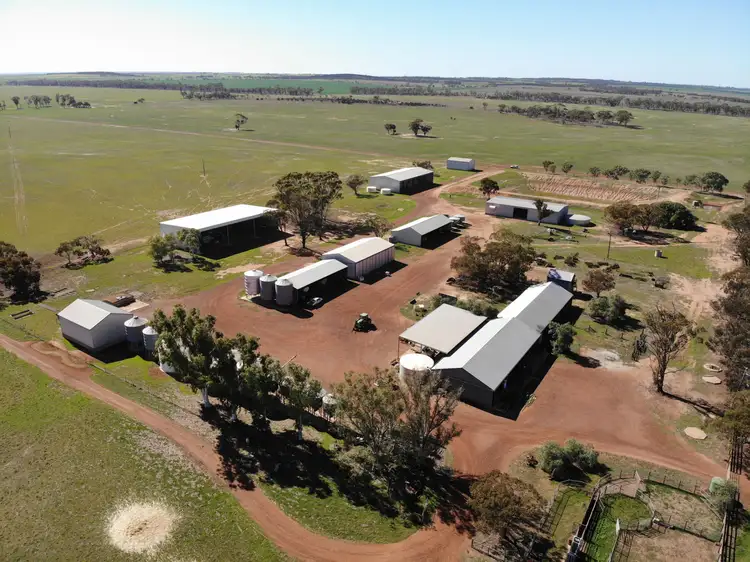 Koobabbie 953 Mamboobie Road, Coorow WA 6515