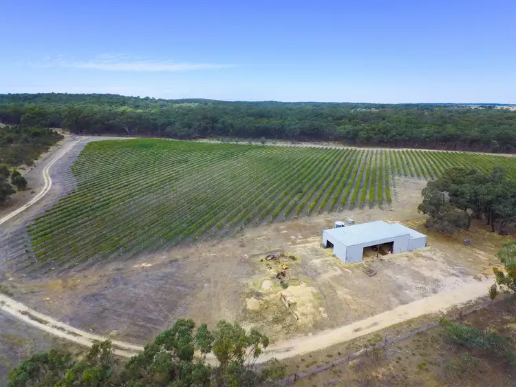 Main view of Homely rural property listing, 20 Morris Lane, Avoca VIC 3467
